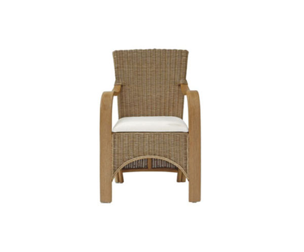 Waterford Carver Dining Chair Cut Out by Daro